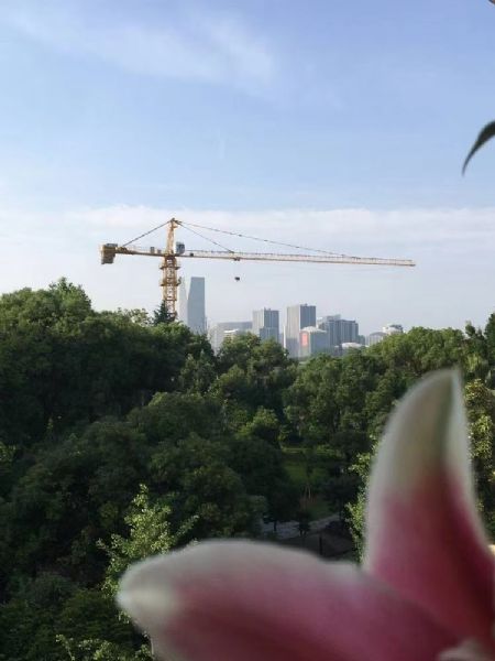 繫Ԣ