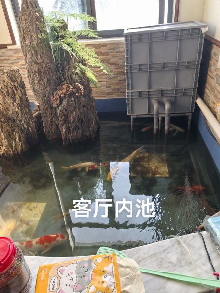��������Ϫ�����ϼҵ�33һ1