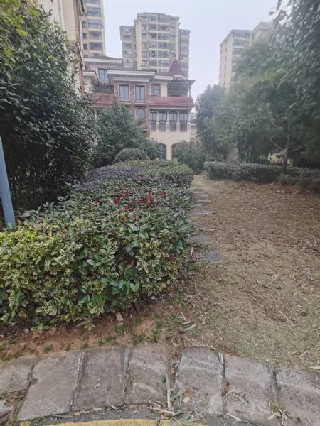 深蓝艺墅