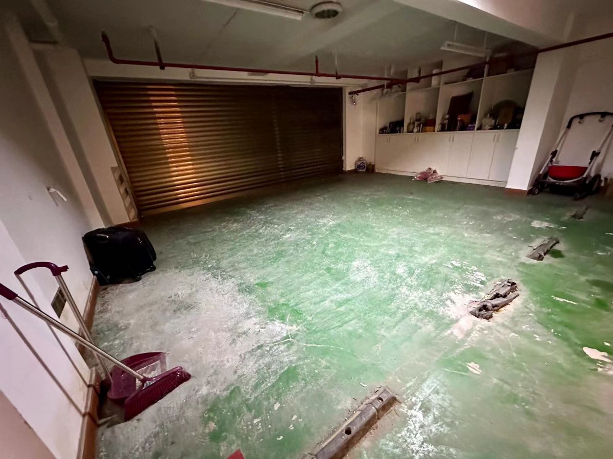 �¿�˹��������