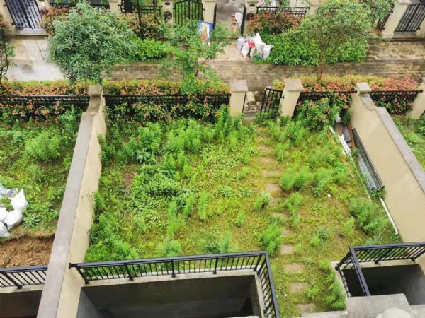 ����ɽ��