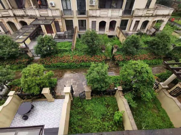 ����ɽ��