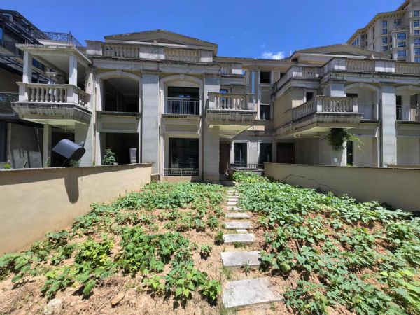 ����ɽ��