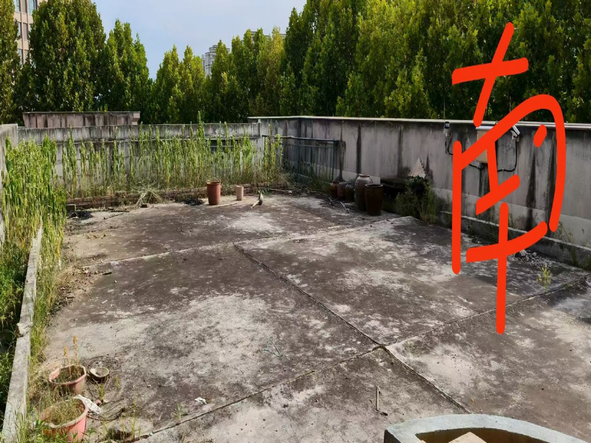 Ժ
